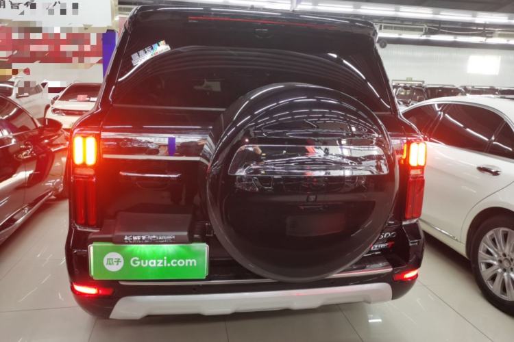 Used Tank 500 New Energy 2024 Hi4-T Rear