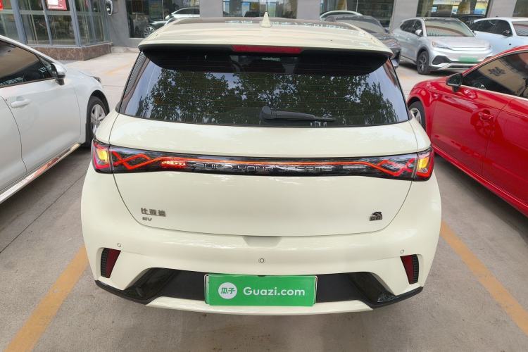 Used BYD Dolphin 2023 420 km Fashion Edition Rear