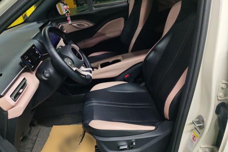 Used BYD Seagull 2023 Flying Edition Left Front Seat