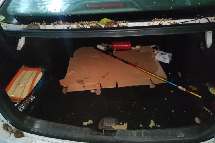 Used CHANGAN Raeton CC 2018 1.5T Automatic Haoya Model Guangmang Edition China V Standard