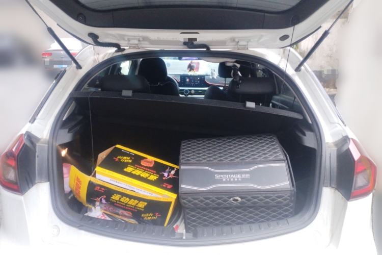 Used Geometry EX3 Kung Fu Cow 2021 Tough Bull Cow Trunk