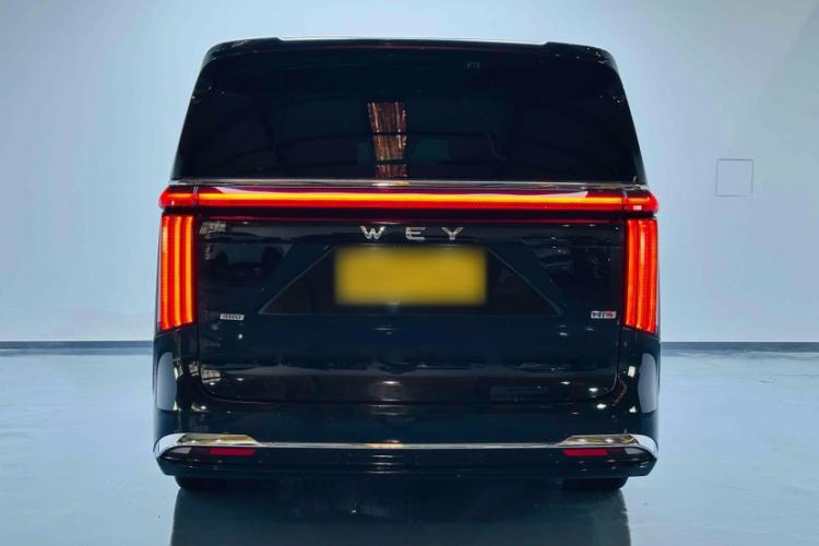 Used Wey Gaoshan 2023 Four-Wheel-Drive Executive Extended Version Trunk