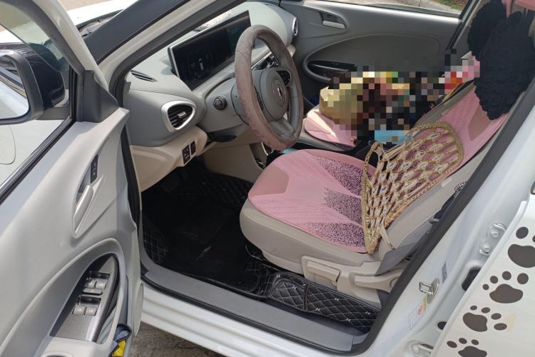 Used ORA White Cat 2020 305 km Luxury Version
