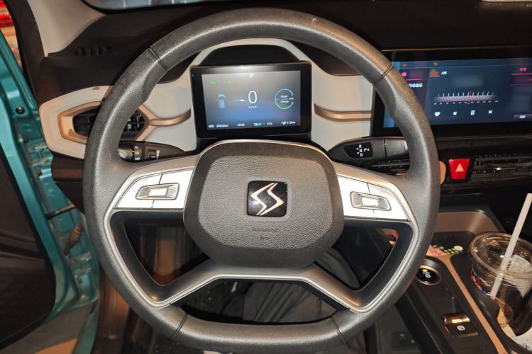 Used SOL E10X 2022 Flower Fairy Design Four-Leaf Clover Steering Wheel