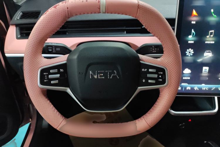 Used NETA V 2021 Witch Edition