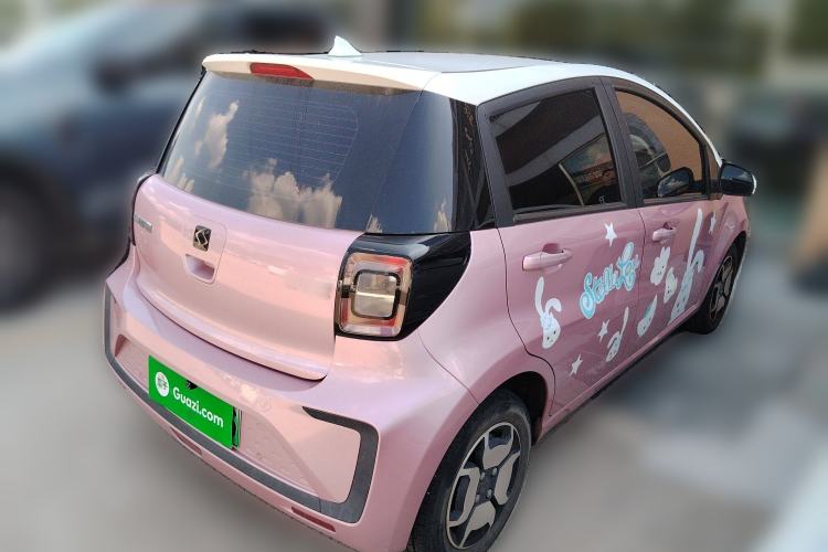 Used SOL E10X 2022 Flower Fairy Style Baby's Breath