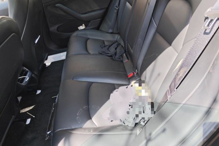 Used Tesla Model 3 2021 Standard Range Rear-Drive Upgraded Version Left Rear Seat