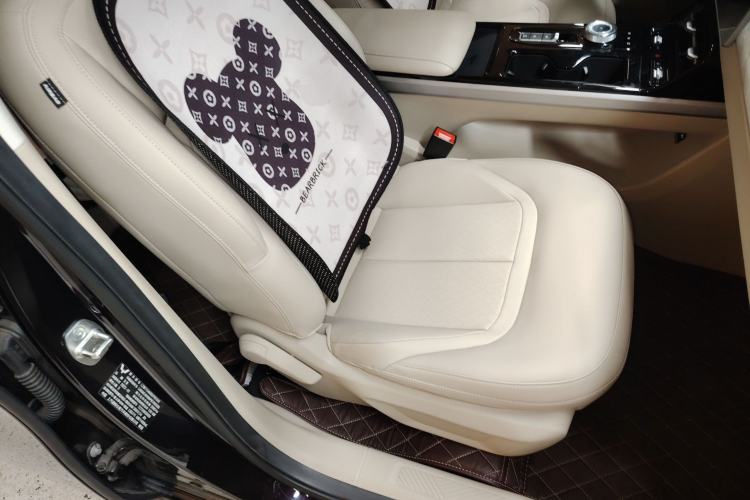 Used Wuling Xingguang 2023 150 Advanced Edition Right Front Seat