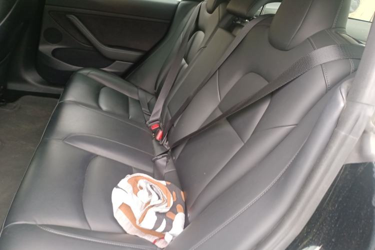 Used Tesla Model 3 2021 Revised Version Standard Range Rear-Wheel Drive Upgraded Edition 3D1 Left Rear Seat