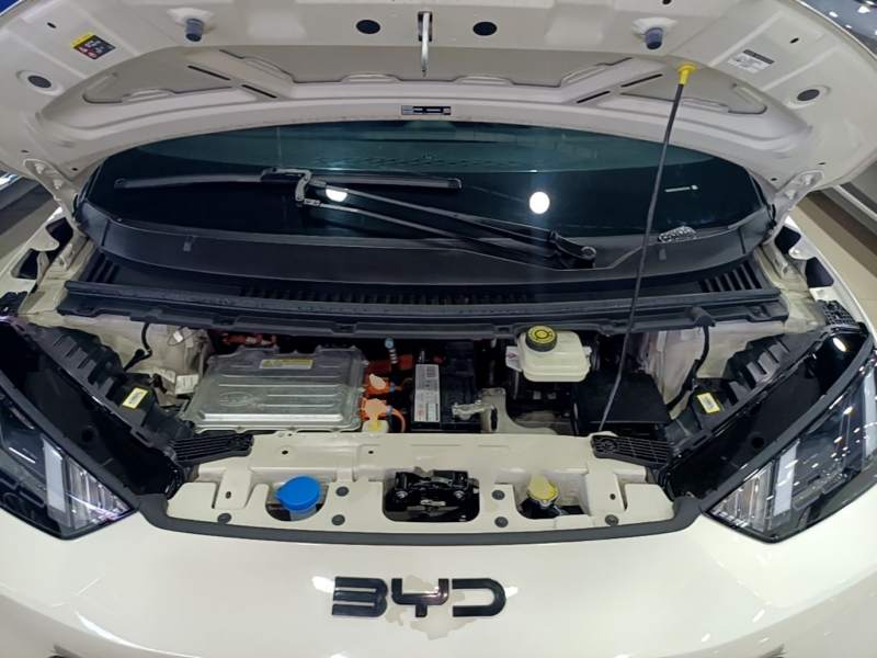 Used BYD Seagull 2024 Honor Edition 405km Flying Version — 19