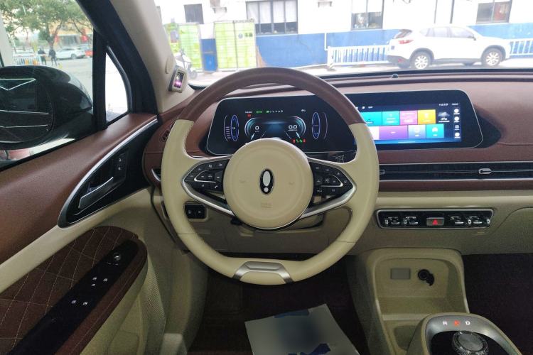 Used ORA Good Cat 2021 400km Standard Range Athena Edition Lithium-Ion Battery
