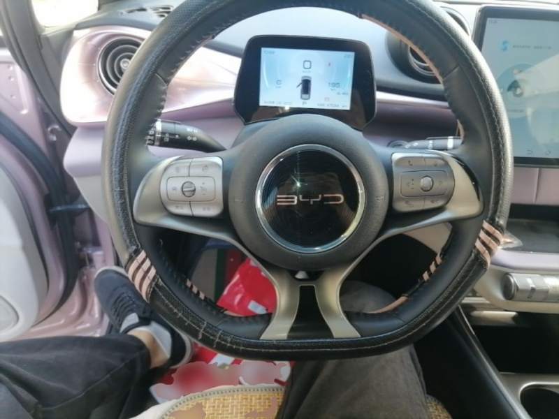 Used BYD Dolphin 2021 405 km Fashion Edition — 10