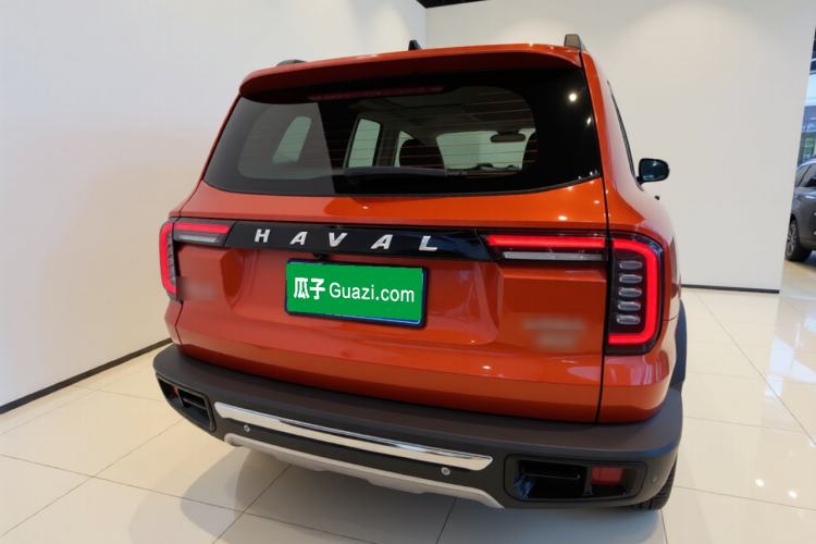 Used Haval DARGO 2021 2.0T DCT 4x4 Chinese Rural Dog Edition