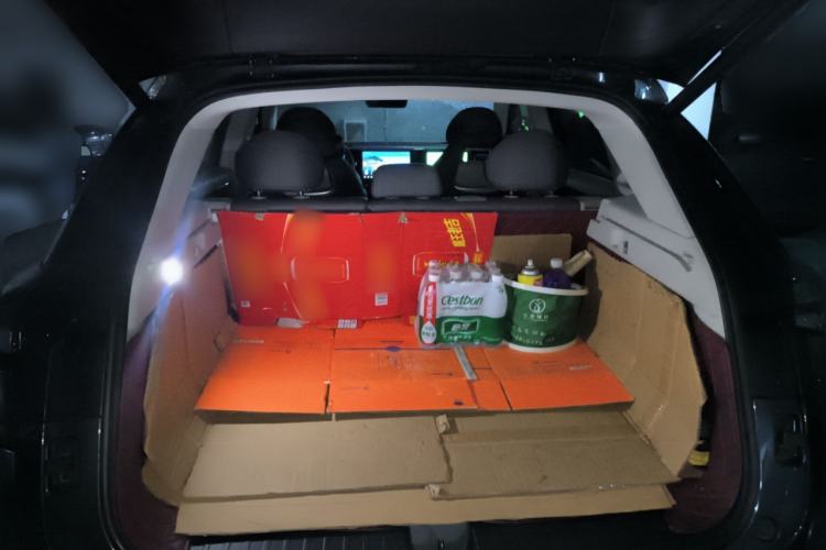 Used Leapmotor C11 2023 Pure Electric 500 Comfort Edition
