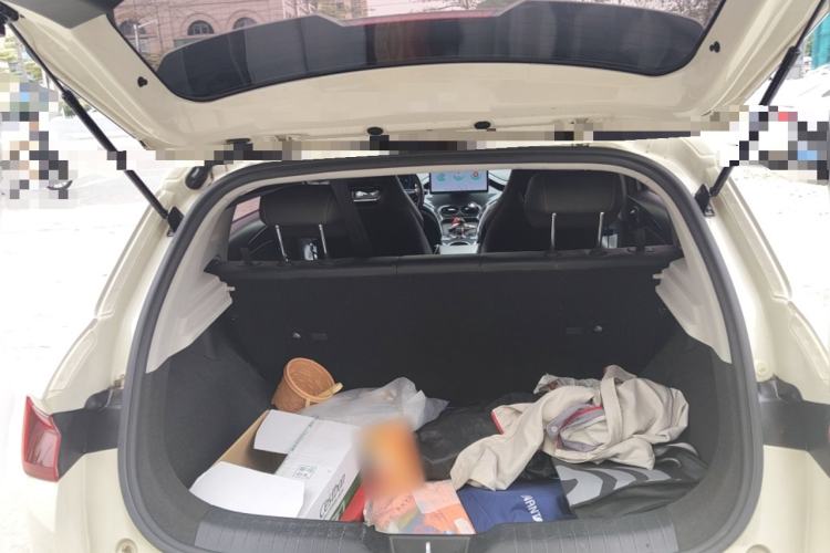 Used BYD e2 2023 Luxury Model Trunk