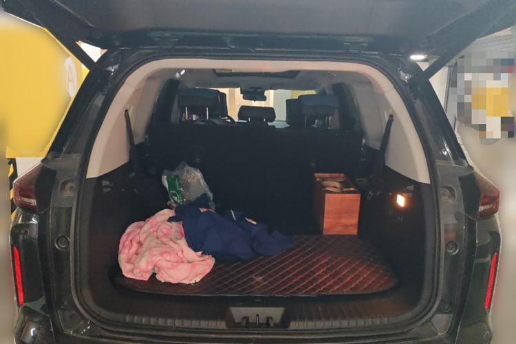 Used EXEED Lanyue 2021 400T Two-Wheel Drive Starlight Pro Edition 7-Seater
