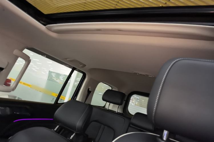 Used Tank 300 2021 City Edition 2.0T—Truly Stylish Headliner