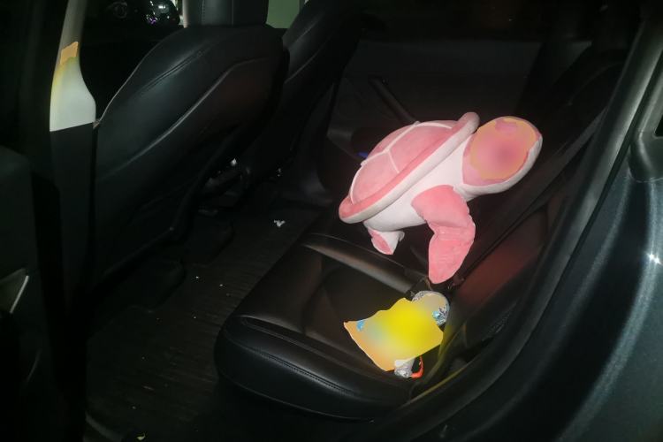 Used Tesla Model Y 2021 Performance High-Performance All-Wheel-Drive Version