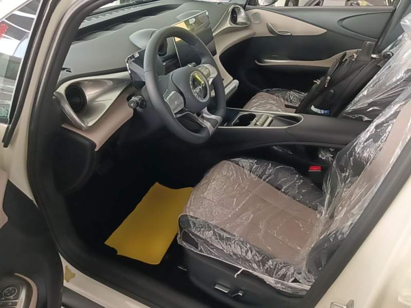 Used BYD Dolphin 2025 420km Free Edition — 14