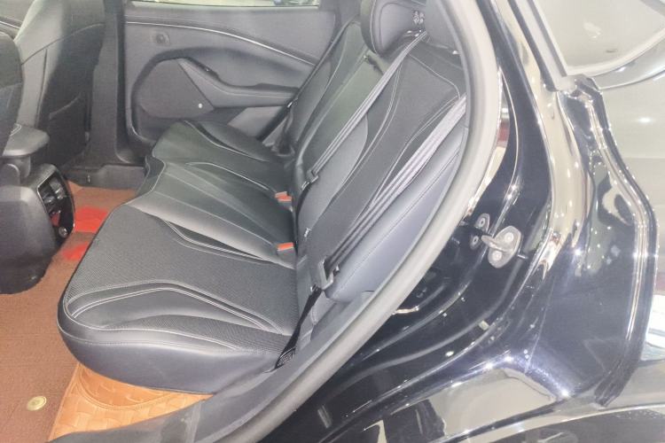 Used Ford Mustang Mach-E 2021 AION Y Plus Rear-Drive Luxury Edition (Long Range)