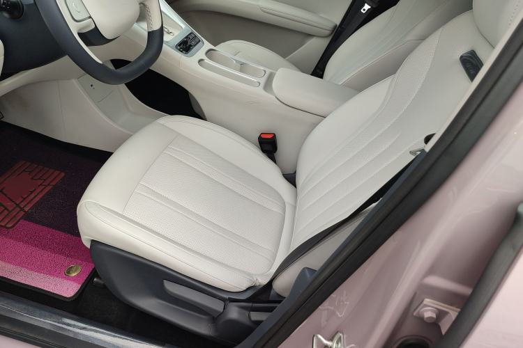 Used Geely Galaxy Geome 2025 310km Dream Edition Left Front Seat