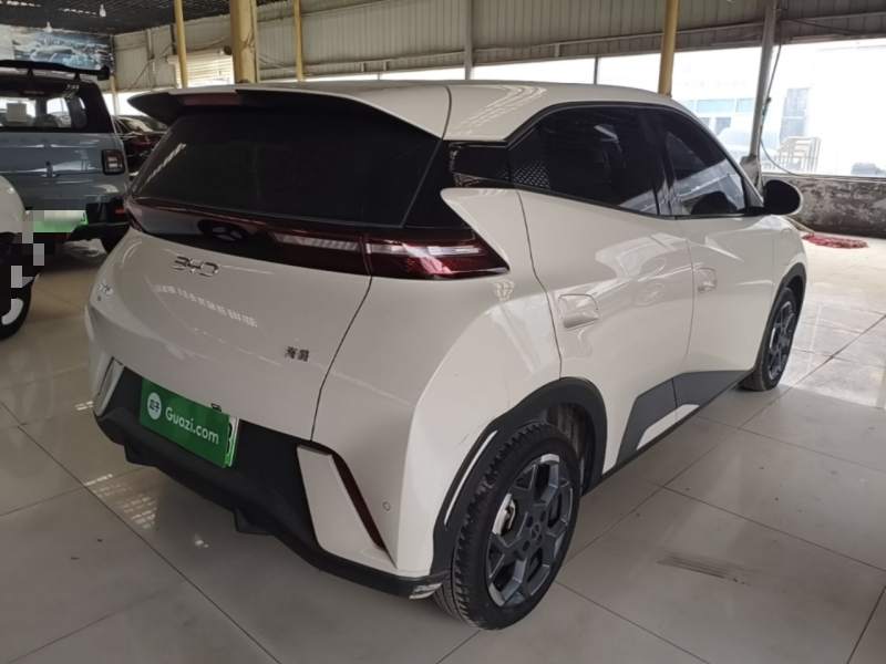 Used BYD Seagull 2025 305 km Free Version — 6