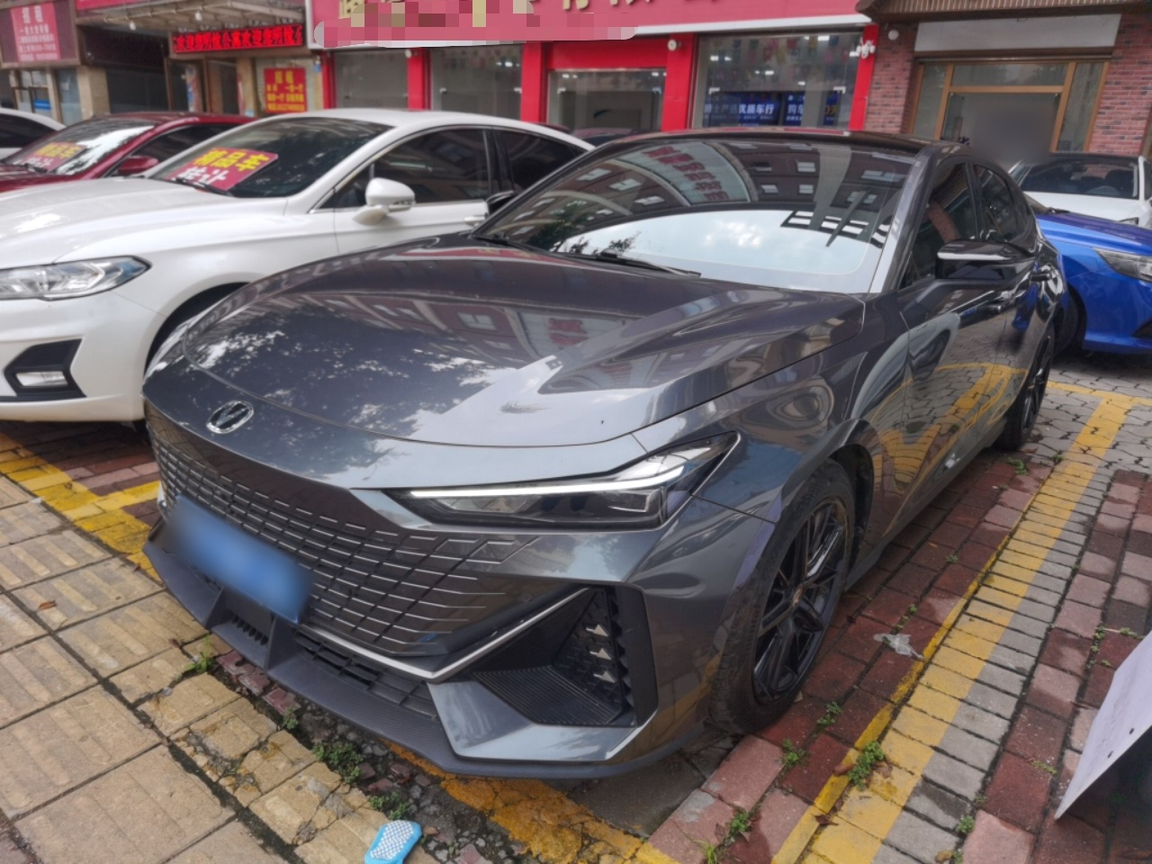 Parte inferior delantera