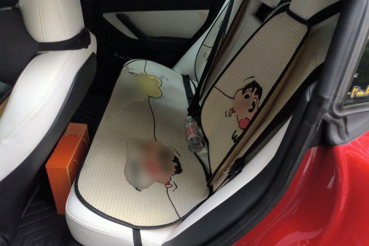 Used Tesla Model 3 2020 Standard Range Rear-Wheel Drive Upgraded Version Left Rear Seat