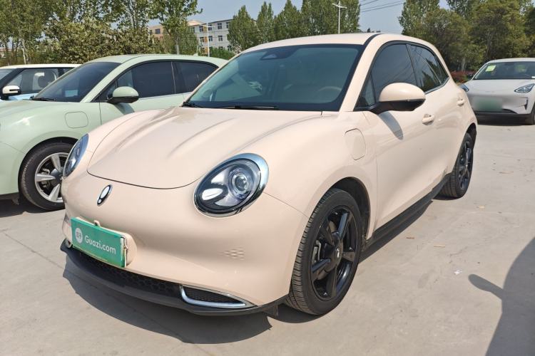 Used ORA Good Cat 2024 401 km Luxury Version