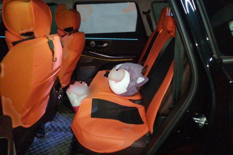 Used EXEED Lanyue 2023 400T Four-Wheel Drive Star Prestige 7-Seater Left Rear Seat