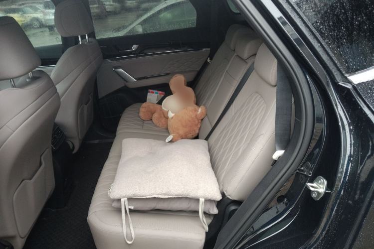 Used BYD Tang New Energy 2024 DM-i Glory Edition 112KM Prestige Model Left Rear Seat