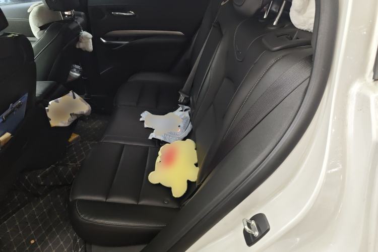 Used Cadillac XT4 2018 28T Two-Wheel-Drive Luxury Model Left Rear Seat