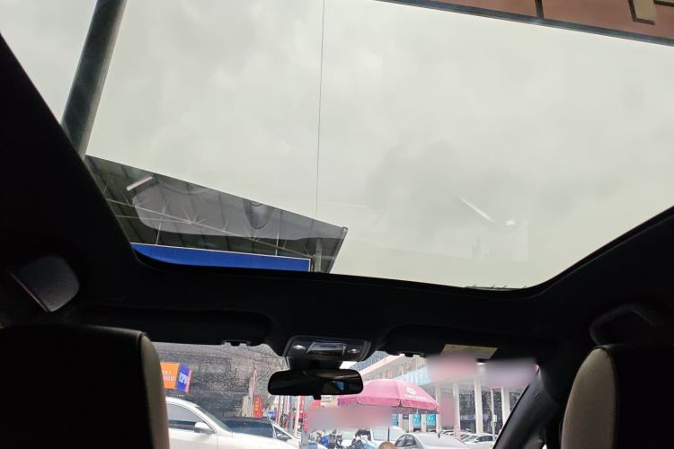 Used BYD Dolphin 2024 Honor Edition 420km Fashion Version Headliner