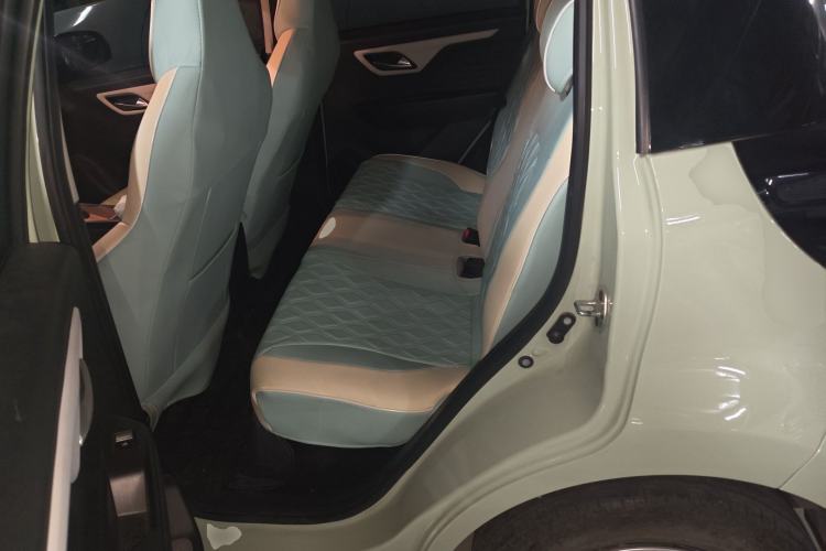 Used SOL E10X 2022 Flower Fairy Design Four-Leaf Clover