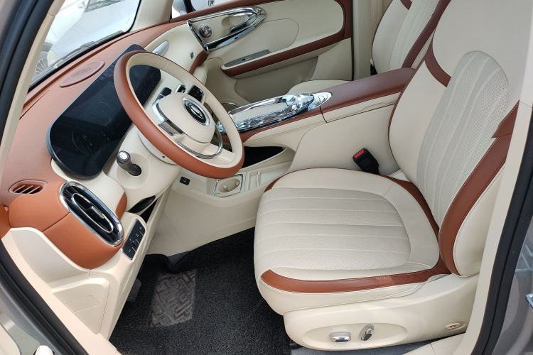 Used ORA Ballet Cat 2023 401 km Luxury Version