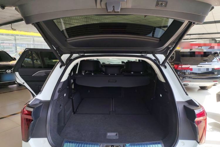 Used Hongqi E-HS9 2021 460 km Range Flagship Edition 7-Seater Trunk