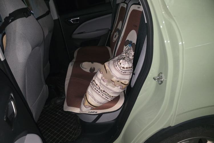 Used Leapmotor T03 2022 Hometown Jade Edition