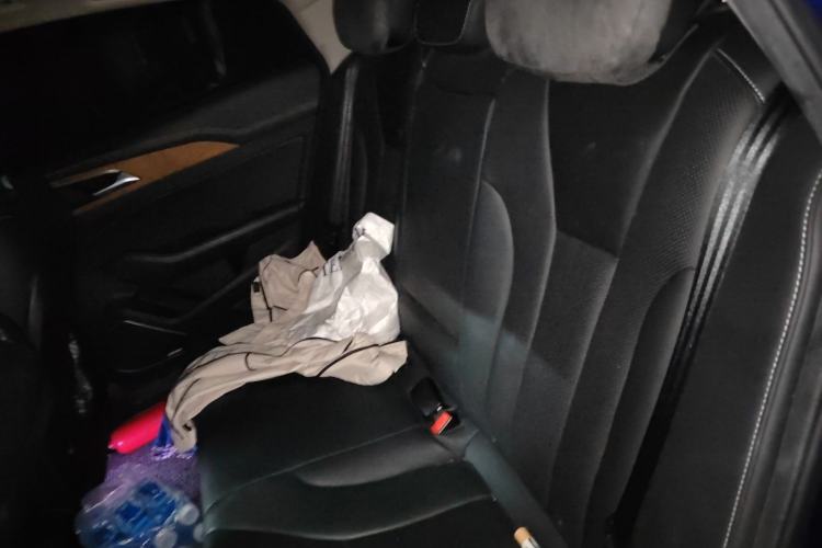 Used Hongqi H5 2019 30TD Smart Connect Dynamic Edition Left Rear Seat