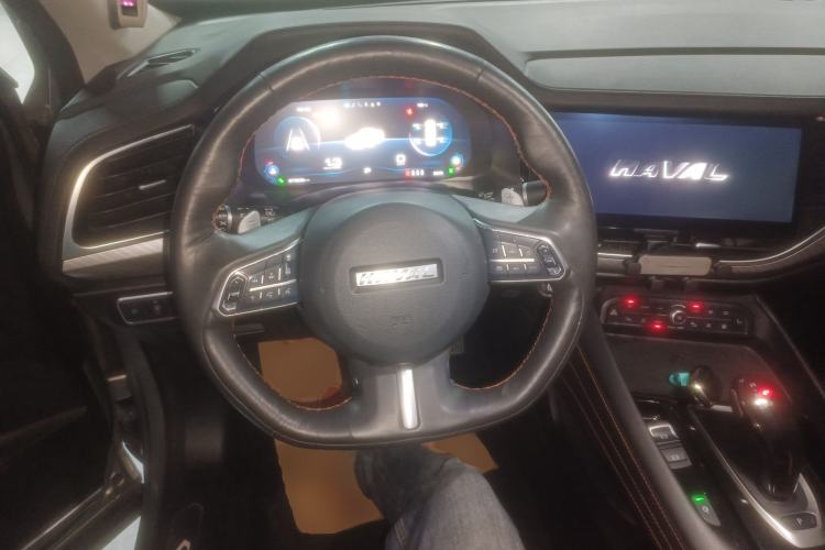 Used Haval F7x 2021 2.0T All-Wheel-Drive Intelligent Performance Version
