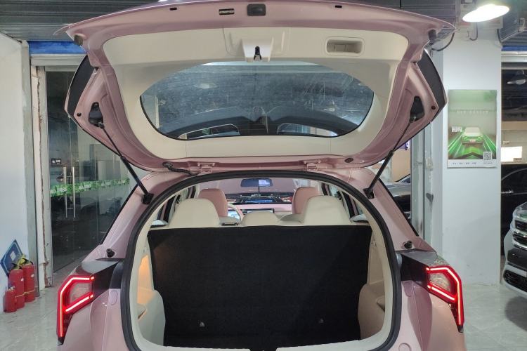 Used Geometry E Firefly 2024 401 km Fluorescent Trunk