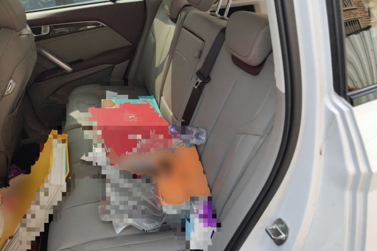 Used Baojun RS-5 2019 1.5T CVT Intelligent Driving Flagship Version China VI Emission Standard Left Rear Seat