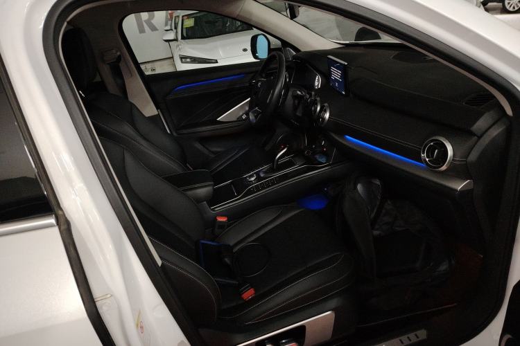 Used Wey VV6 2019 2.0T Two-Wheel-Drive Ultra-Luxury Version China VI Standard Right Front Seat