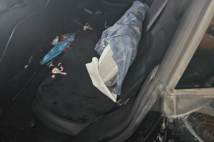 Used Tesla Model 3 2020 Revised Version Standard Range Rear-Wheel Drive – Upgraded Edition Left Rear Seat