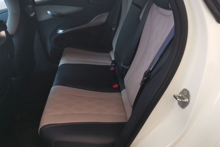 Used BYD Dolphin 2023 420 km Fashion Edition Left Rear Seat