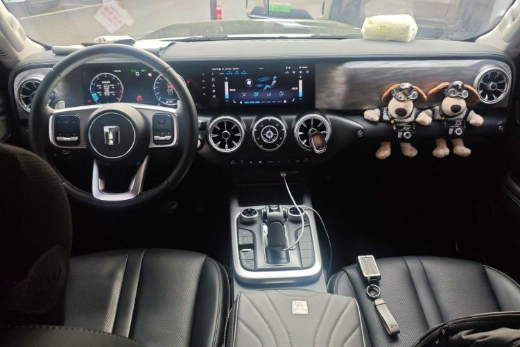 Used Tank 300 2024 2.0T Conqueror