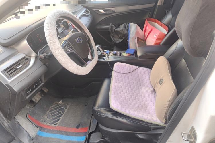 Used Geely Auto Emgrand New Energy 2018 EV350 Elite Model Left Front Seat