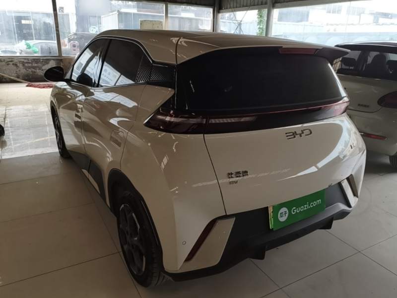 Used BYD Seagull 2025 305 km Free Version — 4
