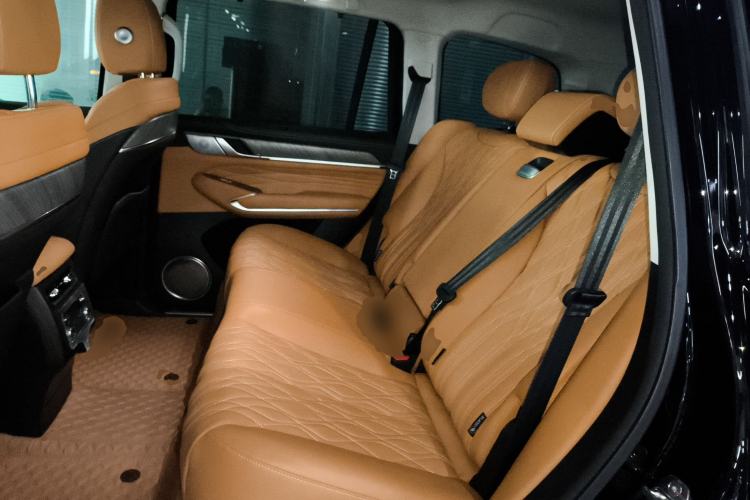 Used Tank 500 New Energy 2023 Hi4-T Left Rear Seat