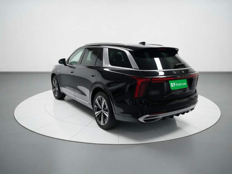 Used Hongqi E-HS9 2021 460 km Range Flagship Edition Six-Seater — 4
