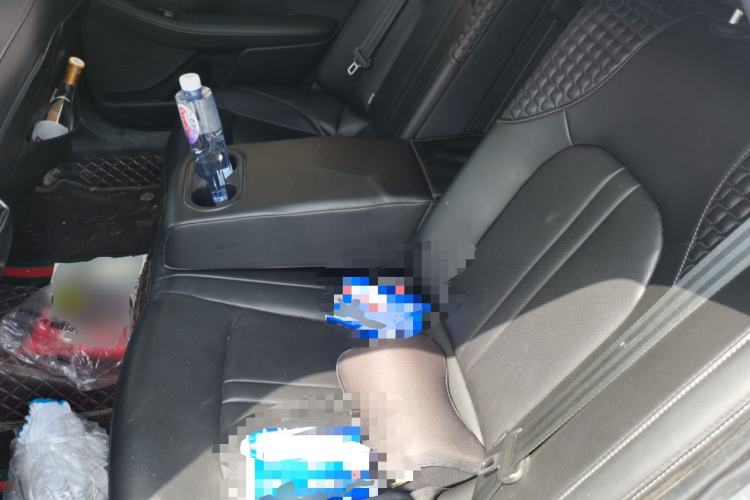 Used Hyundai Sonata 2020 270TGDi DCT GLS Elite Edition Left Rear Seat